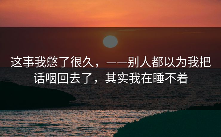 这事我憋了很久，——别人都以为我把话咽回去了，其实我在睡不着