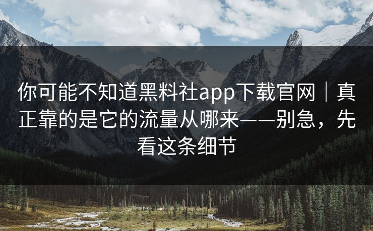 你可能不知道黑料社app下载官网｜真正靠的是它的流量从哪来——别急，先看这条细节